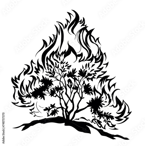 Burning bush. Vector drawing icon