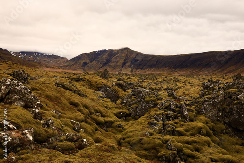 Berserkjahraun is a road on the northern part of the Snaefellsnes peninsula , Iceland photo