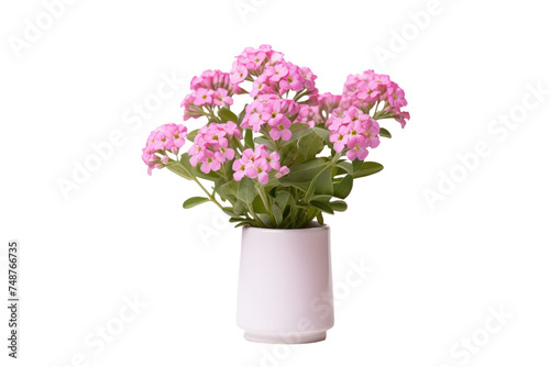 A white vase filled with delicate pink flowers is placed on a clean white background. The petals of the flowers add a soft touch to the minimalist setting.