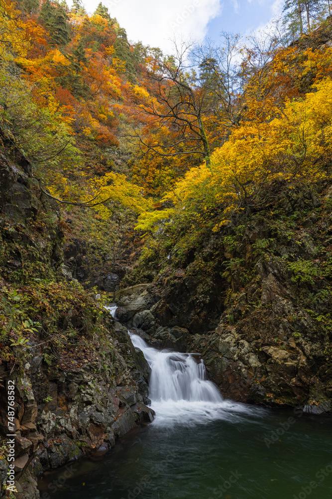 日本　青森県中津軽郡にある世界遺産、白神山地の暗門滝の第3の滝と紅葉