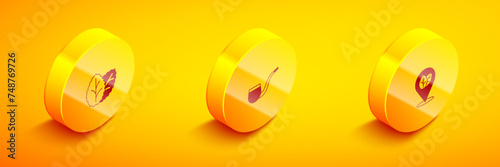 Set Isometric Tobacco leaf, No pipe smoking and icon. Vector