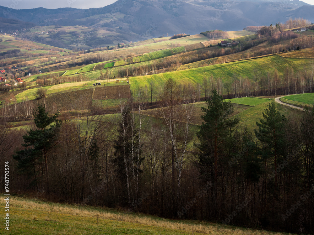 Beskid Mountains. Late Autumn. Przysietnica, Poland. Beskid Mountains. Late Autumn. Przysietnica, Poland.