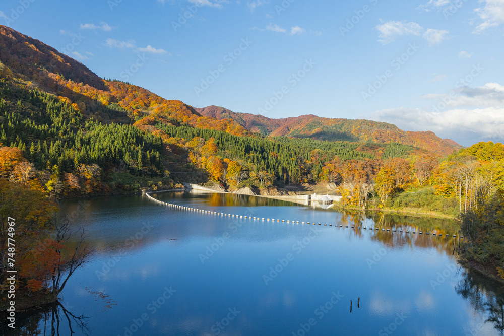 日本　青森県中津軽郡の大川白神橋から見えるの暗門川と紅葉