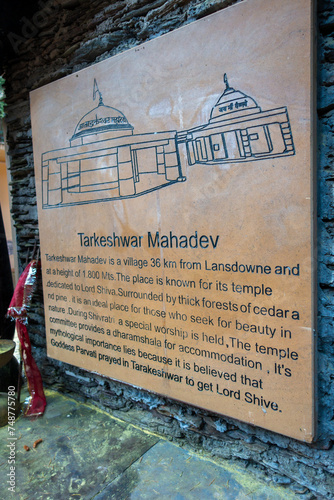 Ancient Stone Carving: Tarkeshwar Mahadev Temple, Uttarakhand, India