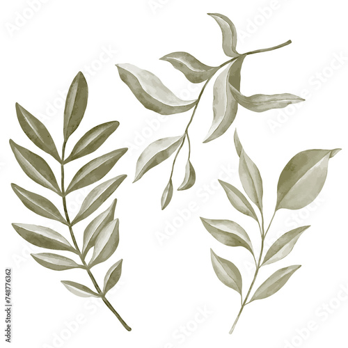 A set of green leaves