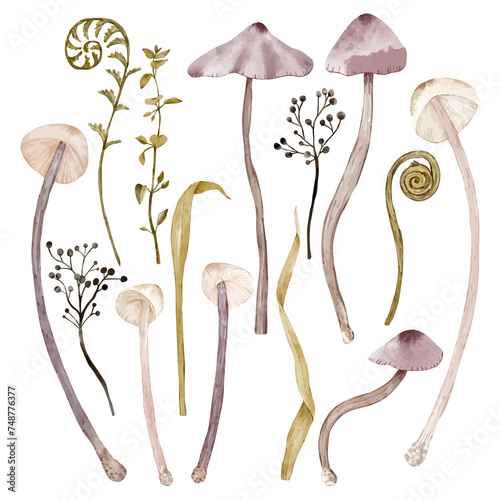A set with various mushrooms and flowers