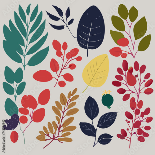 Vector set on white background with leaves  berries  flowers
