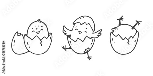 easter cartoon chicks . Cute cartoon chicken hatched from the egg. Doodle style. Card for easter and spring. Vector illustration
