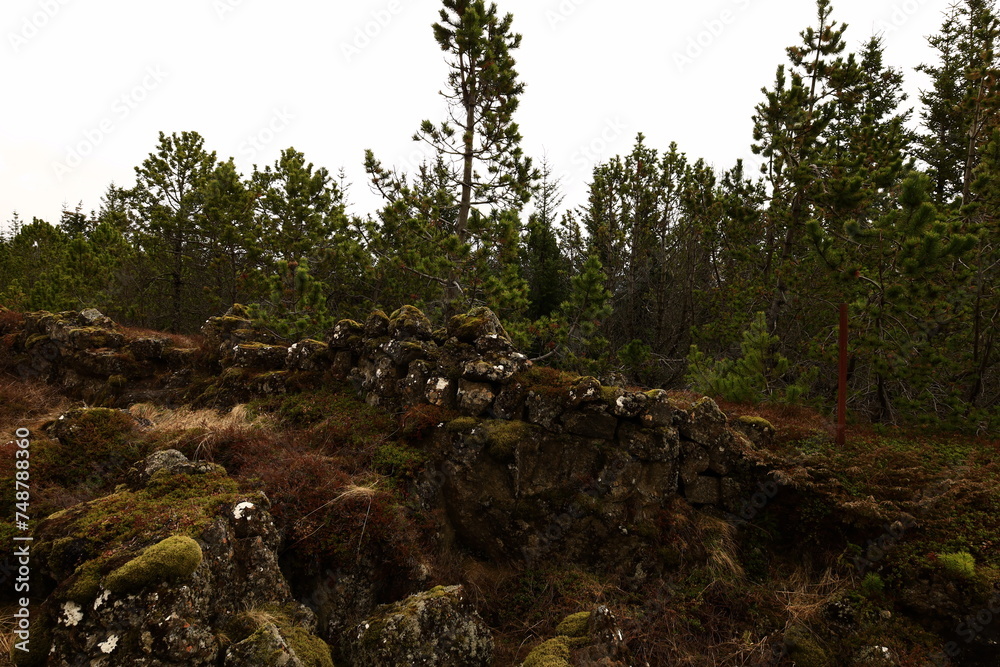 Þingvellir is a historic site and national park in southwestern Iceland, not far from the capital, Reykjavik. Þingvellir is a historic site and national park in southwestern Iceland, not far from the capital, Reykjavik.