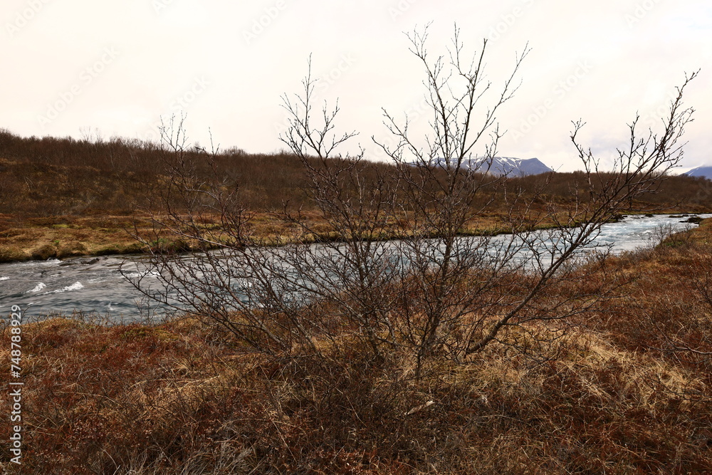 Brúará is a spring-fed river in West Iceland which runs by the boundaries of municipalities Biskupstungur and Grímsnes Brúará is a spring-fed river in West Iceland which runs by the boundaries of municipalities Biskupstungur and Grímsnes