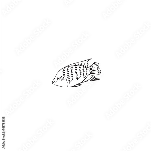 Illustration vector graphic of fish icon © Kmcolshop