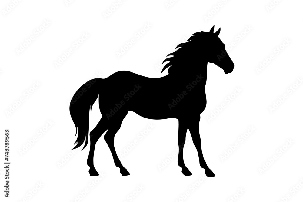 Veсtor A silhouette of a running horse isolated on white background