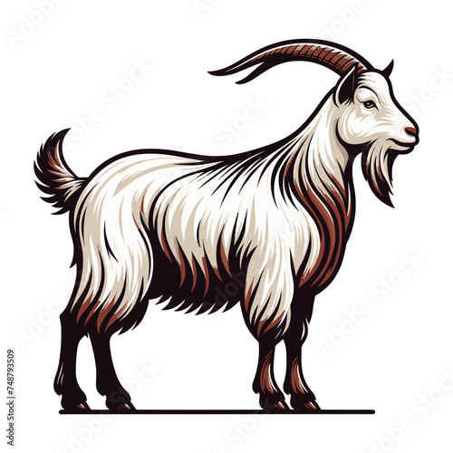 Goat full body vector illustration, farm pet, animal livestock, for butchery meat shop and dairy milk product, design template isolated on white background