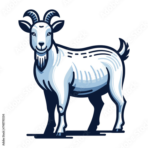 Goat full body vector illustration, farm pet, animal livestock, for butchery meat shop and dairy milk product, design template isolated on white background