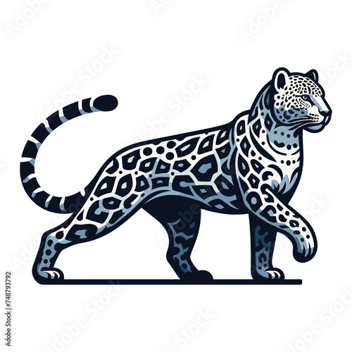 Wild jaguar leopard full body vector illustration, zoology illustration, animal predator big cat design template isolated on white background