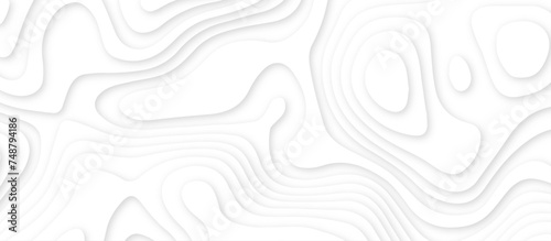 Fototapeta Naklejka Na Ścianę i Meble -  Abstract white wavy line 3d paper cut white background. abstract white background with smooth wavy layers. silver grid map line topography mount contour map .