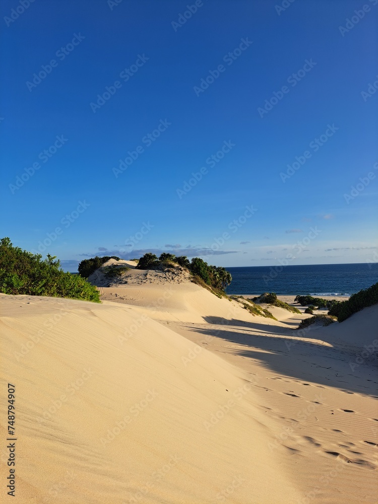 Dunes on the East African coast on a clear sky day Dunes on the East African coast on a clear sky day