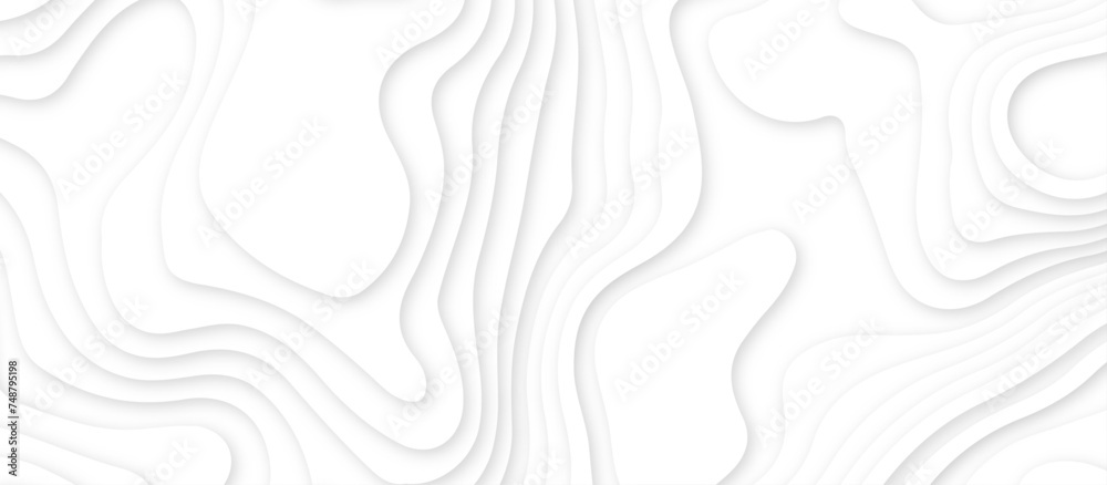 Abstract white wavy line 3d paper cut white background. abstract white background with smooth wavy layers. silver grid map line topography mount contour map . Abstract white wavy line 3d paper cut white background. abstract white background with smooth wavy layers. silver grid map line topography mount contour map .