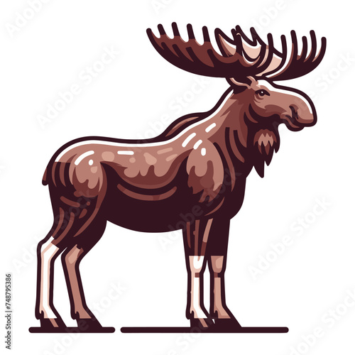 Moose buck elk full body vector illustration, zoology illustration, wild animal moose design template isolated on white background