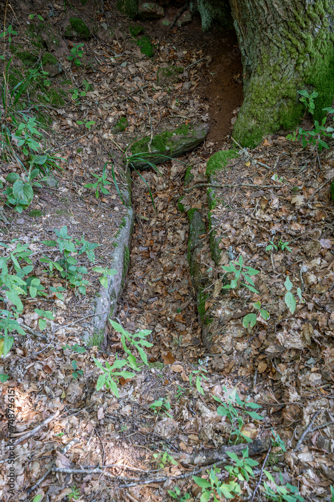 Fototapeta premium Mont Sainte Odile, France - 09 11 2020: Path of the Gauls. View of a Merovingian tomb on the ground in the forest.
