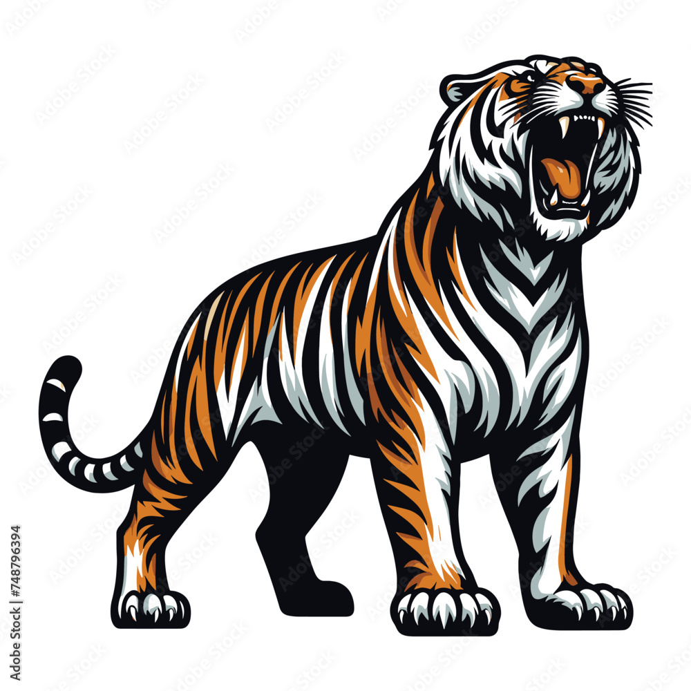 Obraz premium Wild roaring tiger full body vector illustration, zoology illustration, animal predator big cat design template isolated on white background