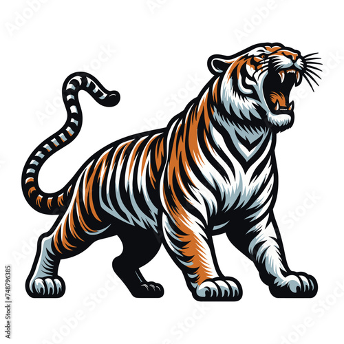 Wild roaring tiger full body vector illustration, zoology illustration, animal predator big cat design template isolated on white background