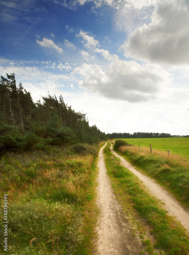 Path, landscape and trees with sky in countryside for travel, adventure and roadtrip with forest in nature. Road, clouds and location in Amsterdam with journey, roadway and environment for tourism