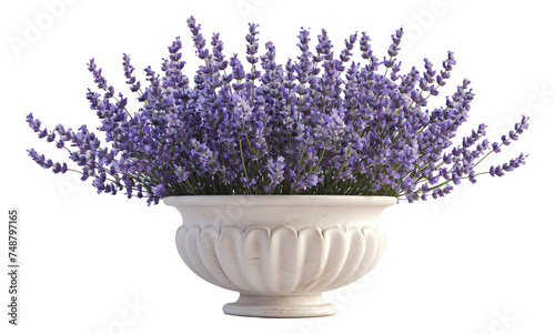 A white pot filled with lavender.