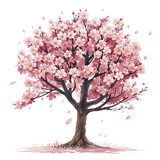 Delicate Cherry Blossom Tree In Full Bloom, Isolated Transparent Background Images