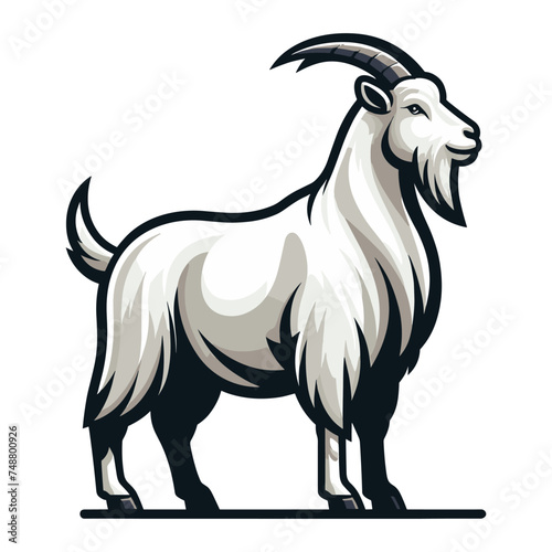 Goat full body vector illustration, farm pet, animal livestock, for butchery meat shop and dairy milk product, design template isolated on white background