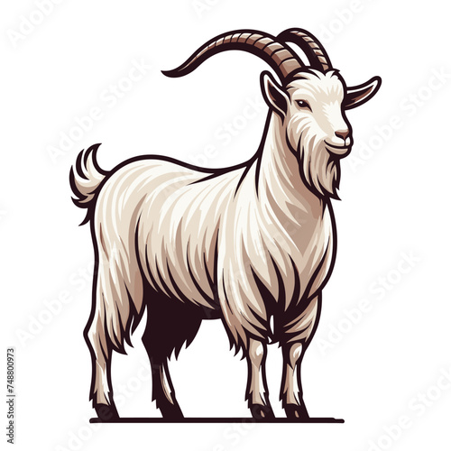 Goat full body vector illustration, farm pet, animal livestock, for butchery meat shop and dairy milk product, design template isolated on white background