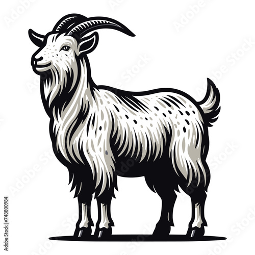 Goat full body vector illustration, farm pet, animal livestock, for butchery meat shop and dairy milk product, design template isolated on white background