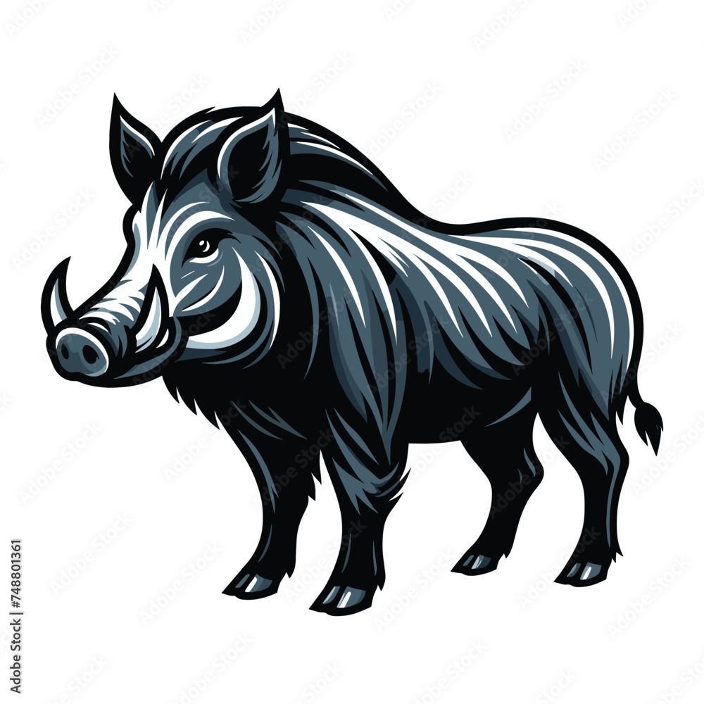 Wild hog boar pig full body design vector illustration, beast animal wildlife template isolated on white background Wild hog boar pig full body design vector illustration, beast animal wildlife template isolated on white background