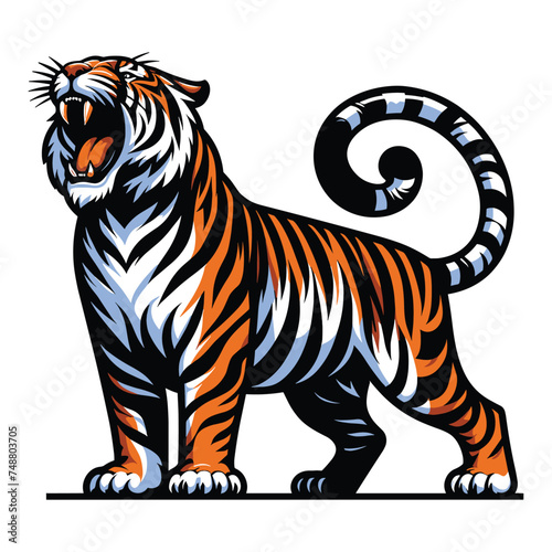 Wild roaring tiger full body vector illustration, zoology illustration, animal predator big cat design template isolated on white background © lartestudio