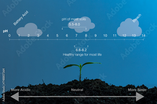 Illustration depicting the pH scale ranging from 0 to 14, representing the balance between acidity and alkalinity in a solution, with a focus on its relation to soil fertility. A newly emerged plant.