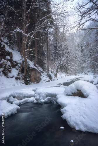 River flowing through a forest in winter