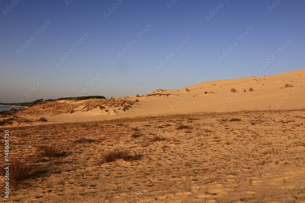 The Dune of Pilat is the tallest sand dune in Europe. It is located in La Teste-de-Buch in the Arcachon Bay area, France