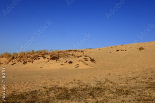 The Dune of Pilat is the tallest sand dune in Europe. It is located in La Teste-de-Buch in the Arcachon Bay area  France