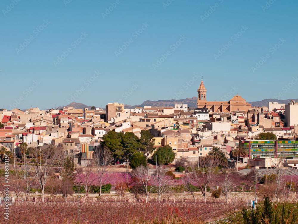 Casco antiguo de Cieza con la iglesia Basílica de la Asunción, Paseo Ribereño, Floración Casco antiguo de Cieza con la iglesia Basílica de la Asunción, Paseo Ribereño, Floración
