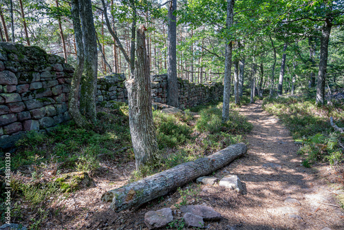 Mont Sainte Odile, France - 09 11 2020: Path of the Gauls. View of the pagan stone wall, stairs and trees . photo