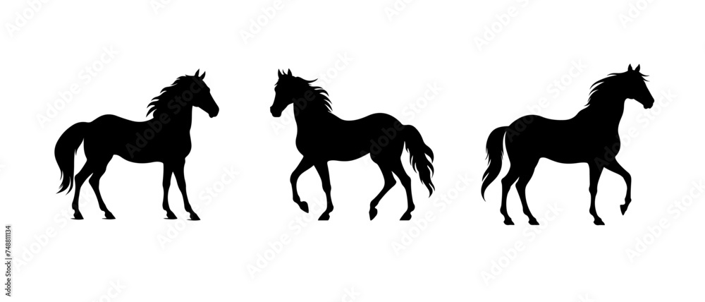set Vevtor A silhouette of a running horse isolated on white background