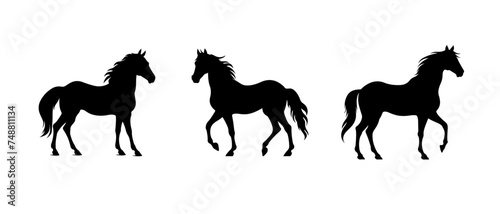 set Vevtor A silhouette of a running horse isolated on white background