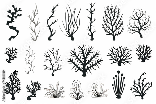 Seperangkat siluet karang dan rumput laut yang digambar tangan terisolasi dengan latar belakang putih photo