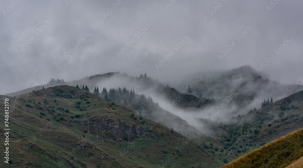 Foggy day in the mountains of the Dzhungar Alatau in the southeast of Kazakhstan in the Zhetysu region