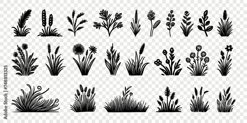 Grass doodle sketch flower garden hand drawn vector set. Grass clover floral wavy meadow set Grass doodle sketch flower garden hand drawn vector set. Grass clover floral wavy meadow set