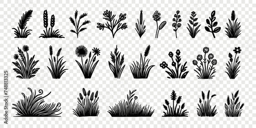Grass doodle sketch flower garden hand drawn vector set. Grass clover floral wavy meadow set