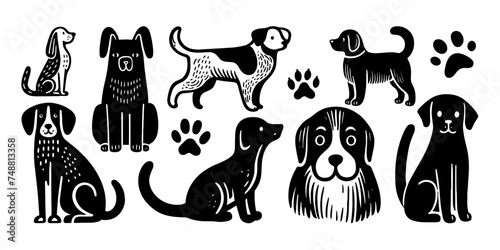 Dog pet puppy doodle vector set. Dog sketch kennel food doodle set