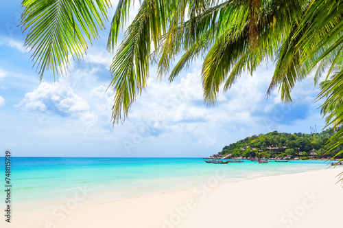 Coconut palm trees and long tail boat on white sand tropical beach in Koh Tao island  Surat Thani Province  Thailand.