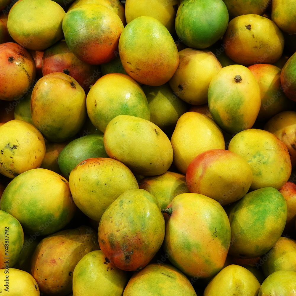 Mango Background. Ripe Fruit Backdrop. Tropical Delicious healthy Snack. Square Backdrop Mango Background. Ripe Fruit Backdrop. Tropical Delicious healthy Snack. Square Backdrop