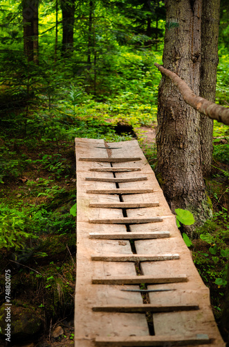 Narrow wooden bridge over a mountain river